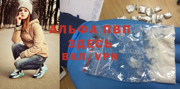 шишки Пересвет