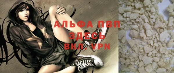 прущие грибы Пестово