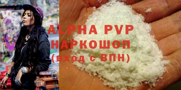 шишки Пересвет
