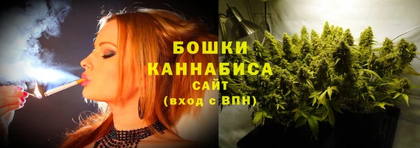 МДПВ Татарск