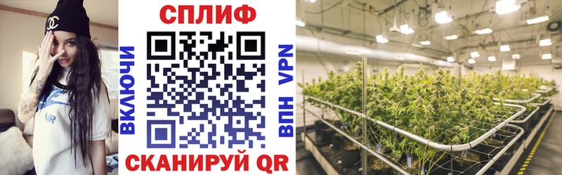 блэк спрут ONION  Красный Кут  Каннабис OG Kush 